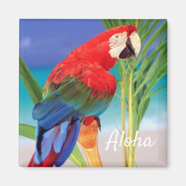 Íman Aloha Bird Magnet (Frente)