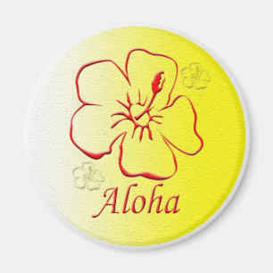 Íman Aloha cópia do botão