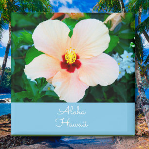 Íman Aloha Hawaii Peach Color State Flower Hibiscus