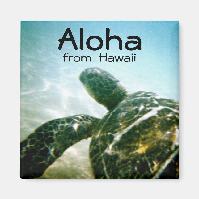 Íman Aloha Hawaii Sea Turtle (Frente)