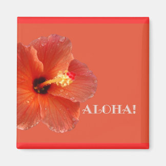 Íman Aloha! Hibiscus Magnet