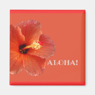Íman Aloha! Ímã do hibiscus