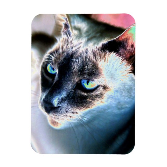 Íman Aloof Siamese Cat Alterou o ímã flexível (Vertical)