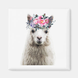 Íman Alpaca Adorável