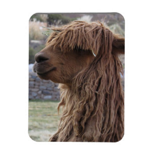 ÍMAN ALPACA FLEXÍVEL