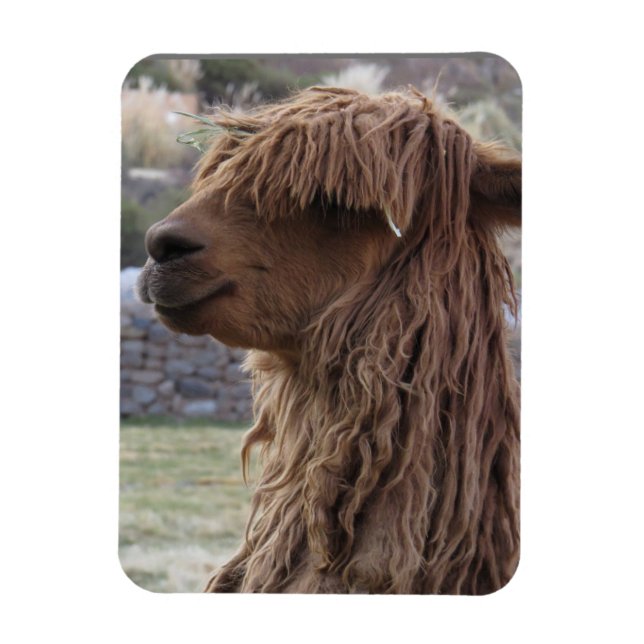 ÍMAN  ALPACA FLEXÍVEL (Vertical)