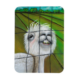 Íman Alpaca - ímã pequeno do sonhador