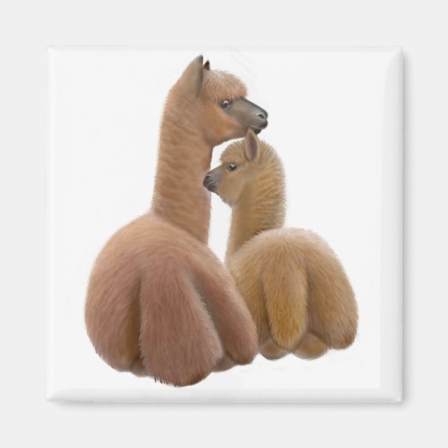 Íman Alpaca Love Magnet (Frente)