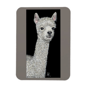 Íman Alpaca Magnet