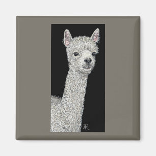 Íman Alpaca Magnet