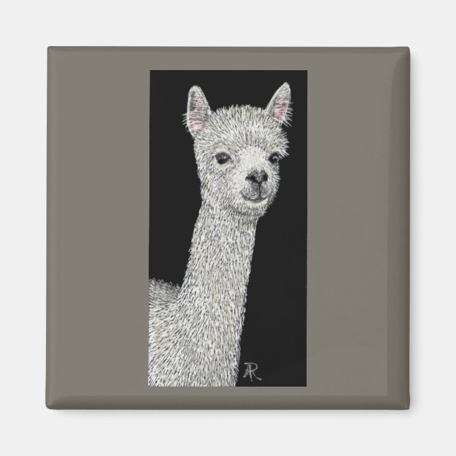 Íman Alpaca Magnet (Frente)