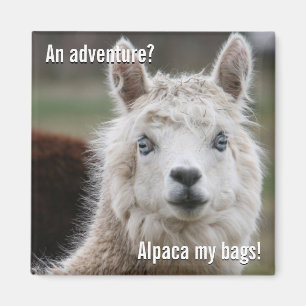 Íman Alpaca minhas bolsas para o ímã da aventura