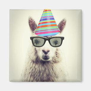 Íman Alpaca nos vidros e no chapéu do partido