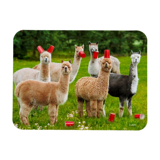 Íman Alpacas com Copas Vermelhas (Horizontal)