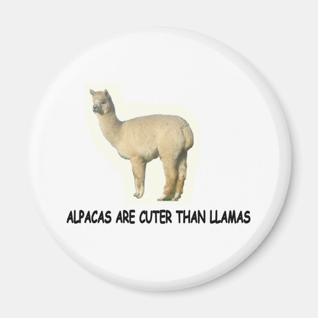 Íman Alpacas são mais fofos que lhamas (Frente)