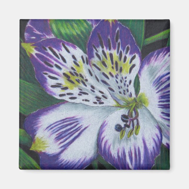 Íman Alstroemeria (Frente)