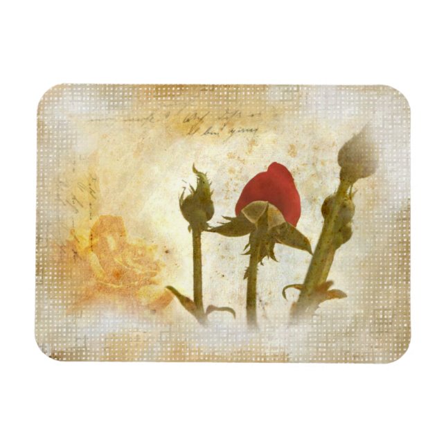 Íman Alte Rose (Horizontal)