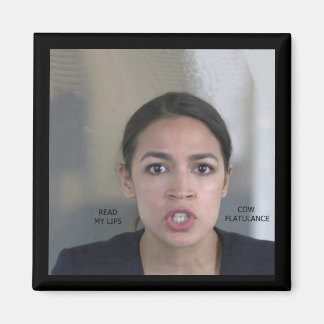 ÍMAN ALTERAÇÕES CLIMÁTICAS