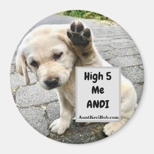 Íman Alto 5 Me Andi Puppy