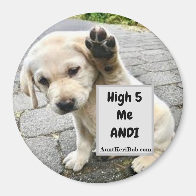 Íman Alto 5 Me Andi Puppy (Frente)
