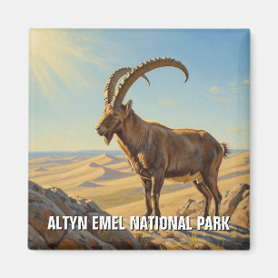 Íman Altyn Emel National Park Viagem do Cazaquistão