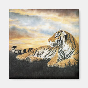 Íman Alvorecer do tigre