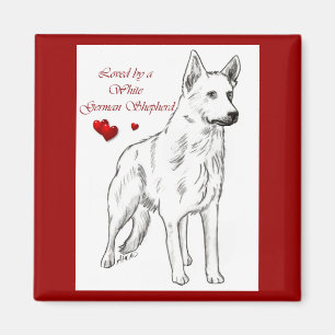 Íman Amado Por Um German shepherd Branco