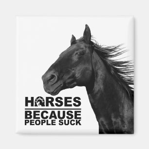 Íman Amante de Cavalo Branco Fazenda Equestre Ocidental
