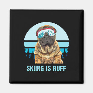Íman Amante do cão de ski áspero é Shar-pei chinês de i
