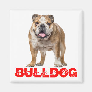 Íman Amante engraçado do Bulldog, cachorro Bully engraç