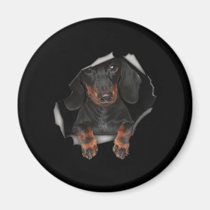 Íman Amantes De Cão De Vestuário De Pet Com Gráfico De