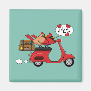 Íman Amantes de Cardinal Vermelho no Patinete