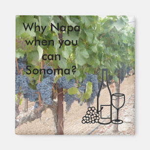 Íman Amantes de vinho do vale de Sonoma
