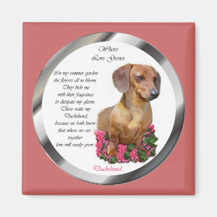 Íman Amantes Doxie do Dachshund