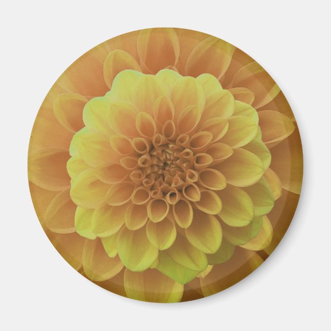 Íman Amarelo Dahlia (Frente)