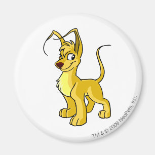 Íman Amarelo de Gelert