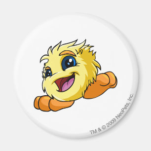 Íman Amarelo de JubJub