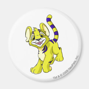 Íman Amarelo de Kougra