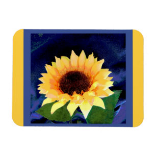 Íman amarelo e azul do ímã do girassol