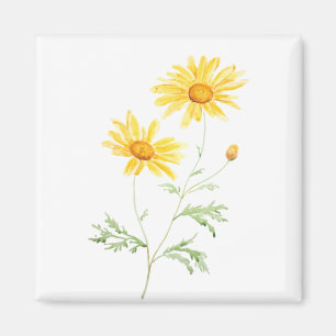 Íman Amarelo Margaret daisy watercolor