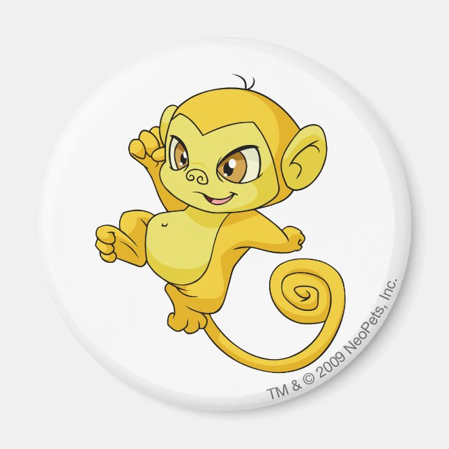 Íman Amarelo-marinho (Frente)