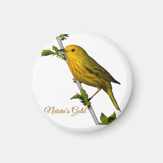 Íman Amarelo Warbler "Dourado da Natureza" Magnet