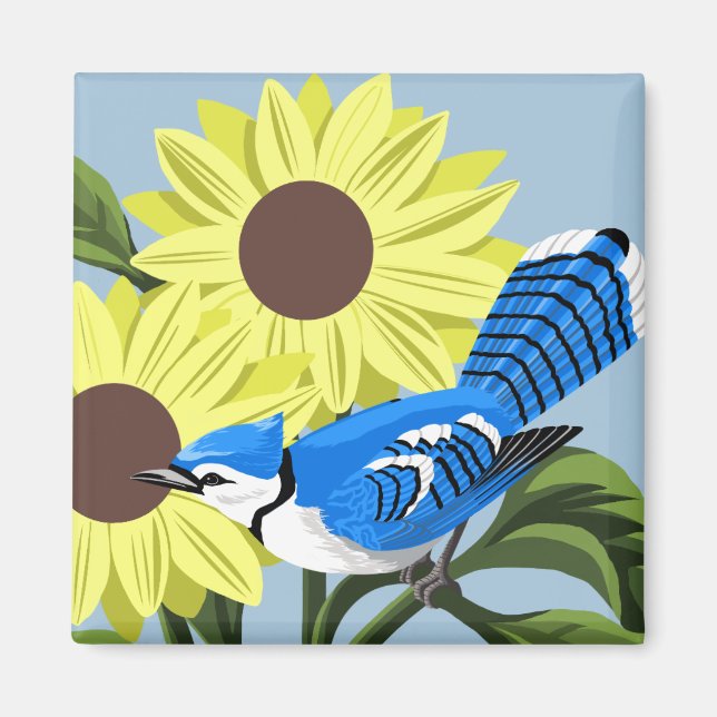 Íman Amarrãs (Frente)