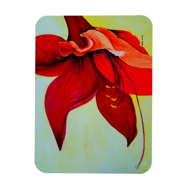 Íman Amaryllis Blossom Magnet (Vertical)