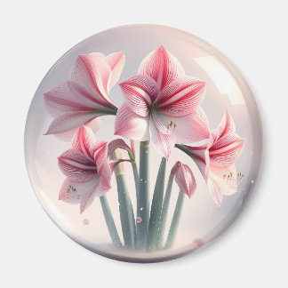 Íman Amaryllis Flores brancas cor-de-rosa