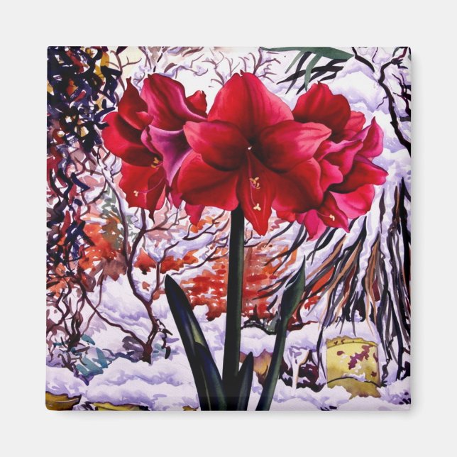 Íman Amaryllis por janela de neve (Frente)