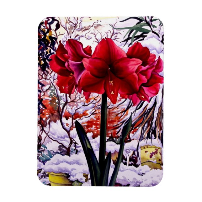 Íman Amaryllis por janela de neve (Vertical)