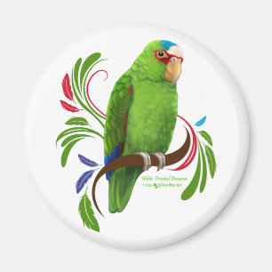 Íman Amazônia Fronteira Branca