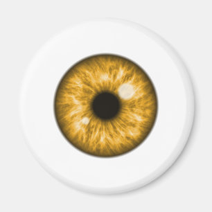 Íman Amber Eye Ball Engraçado