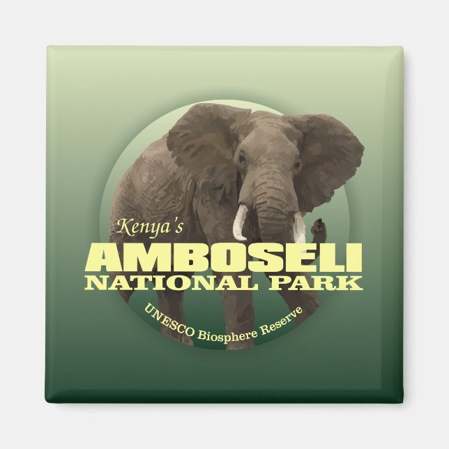 Íman Amboseli NP (Elefante Africano) WT (Frente)